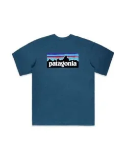 PatagoniaCamiseta Responsibili-tee - Wavy Blue